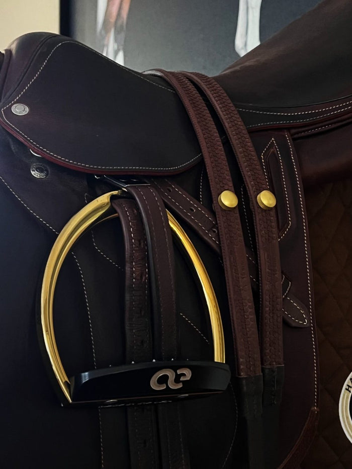 American Equus ReinDots™