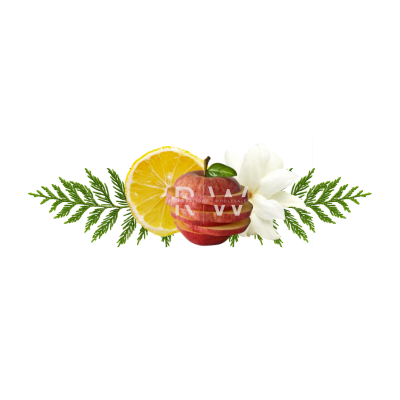 Compare to aroma CLEAN COTTON AIR FRESHENER & BURNING OIL® (Wholesale) - REGEN THE BODY