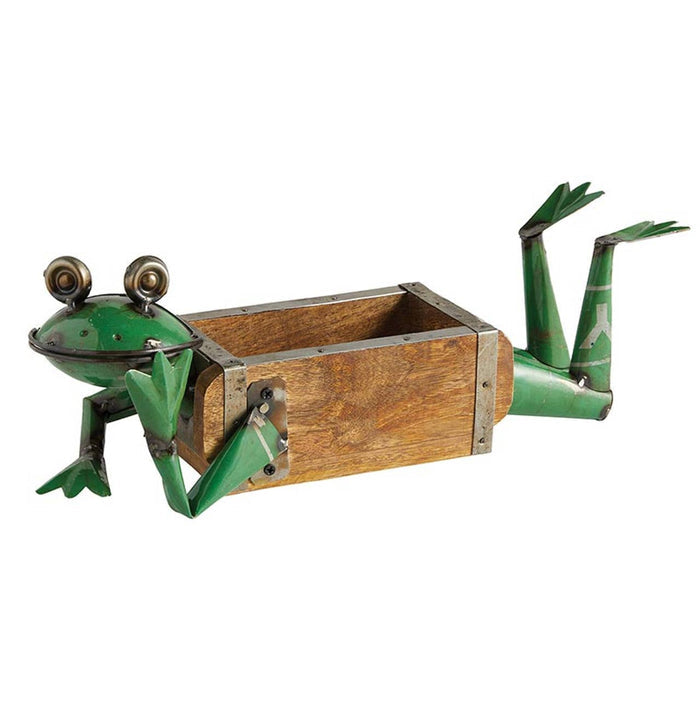 Iron Frog Flower Pot