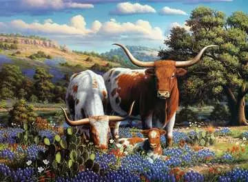 500 pc Loving Longhorns Puzzle