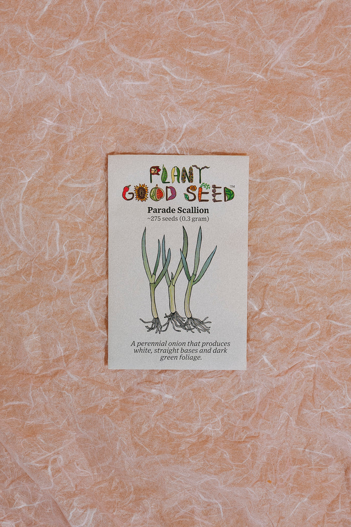 Assorted Herb Seeds