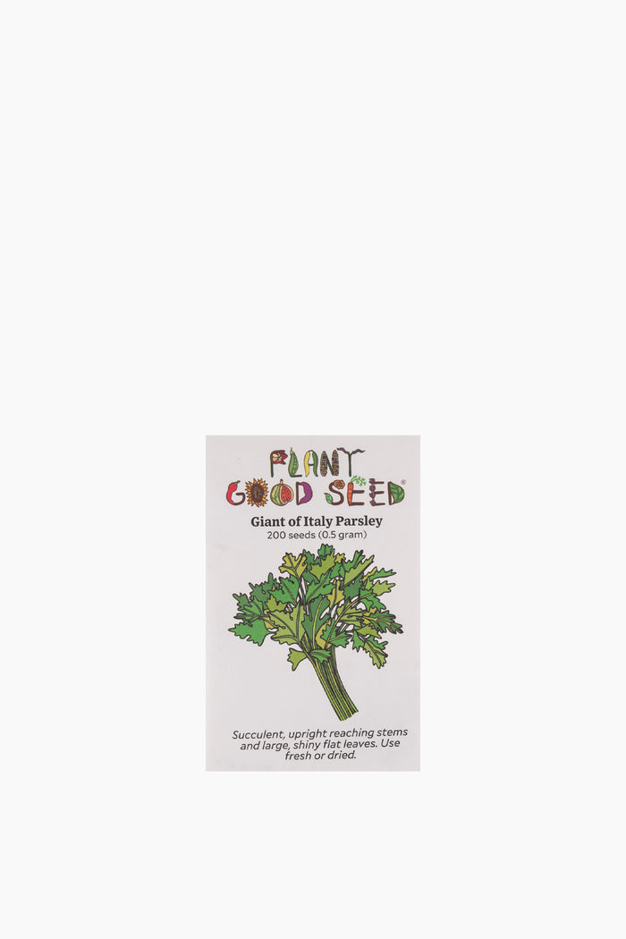 Assorted Herb Seeds