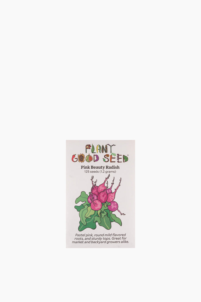 Pink Beauty Radish