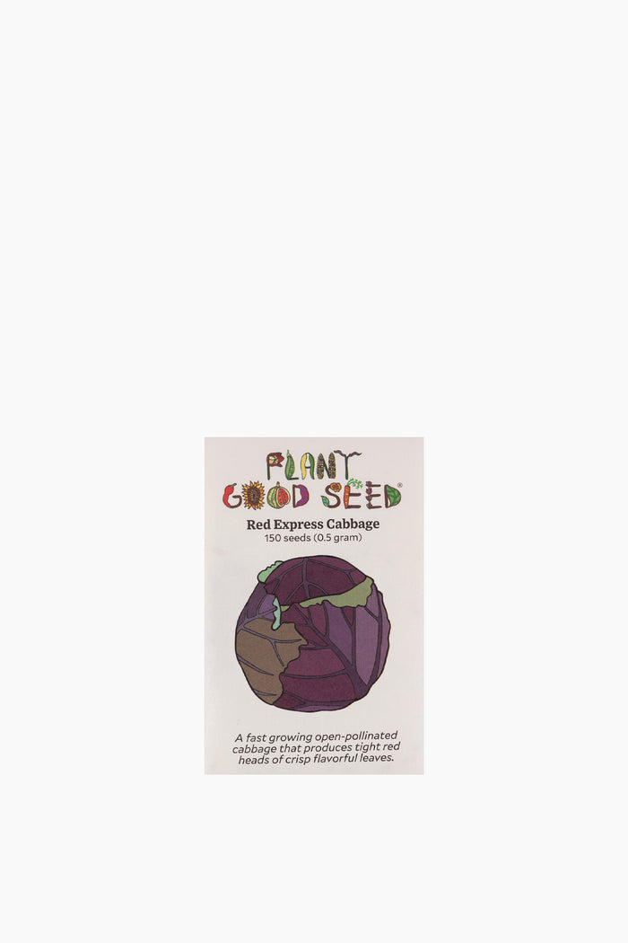 Red Express Cabbage