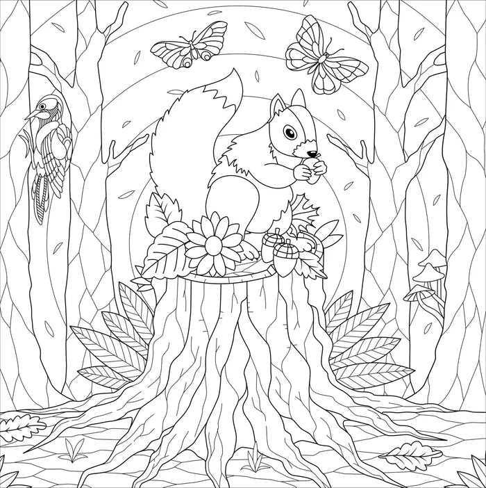 Boho Dreams Coloring Book