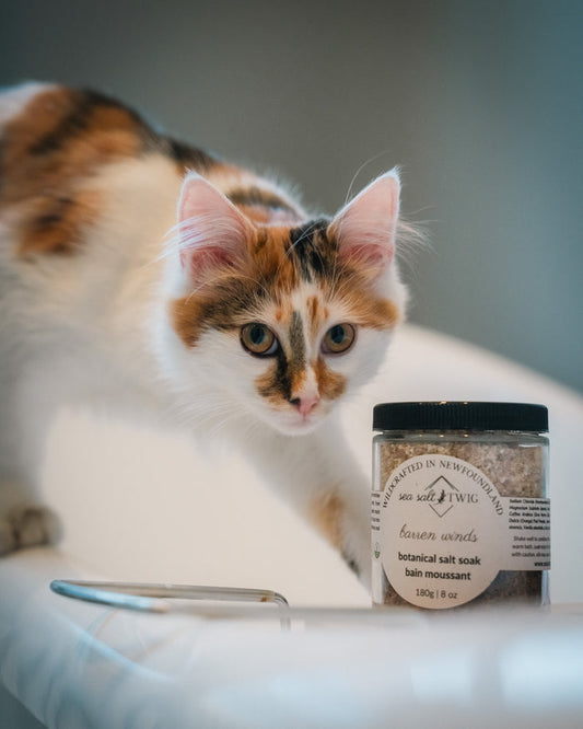 Botanical Salt Soak Sets