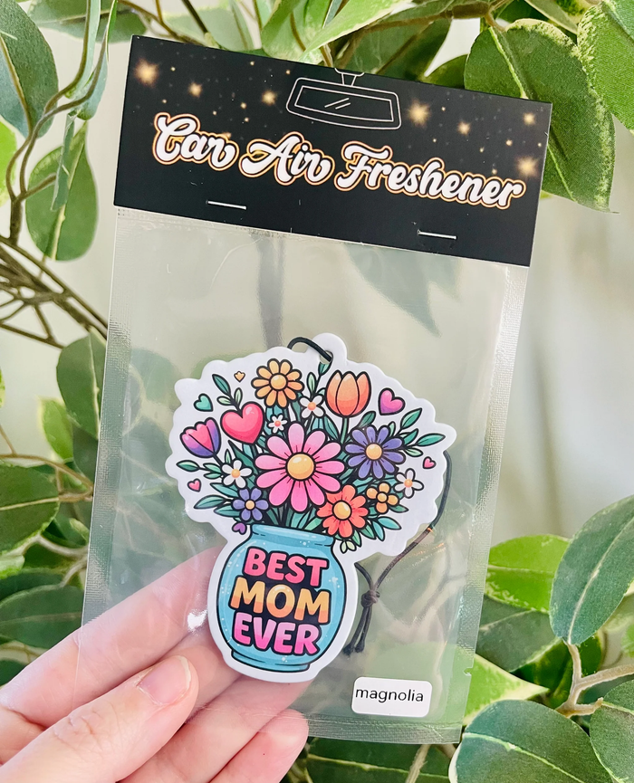Car Air Freshener Collection