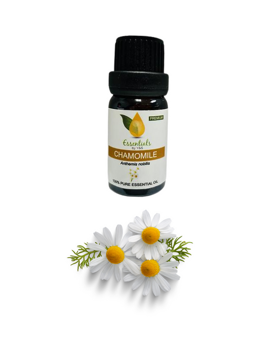 Chamomile Essential Oil - REGEN THE BODY