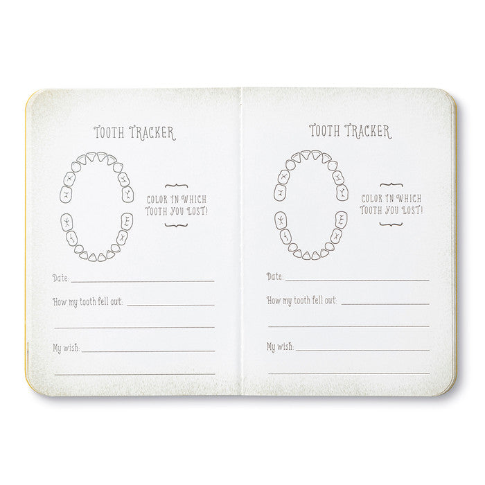 Children’s Book: The Tooth Fairy Kit