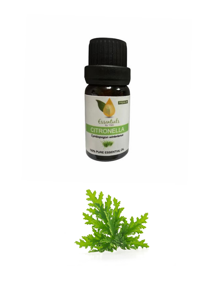 Citronella Essential Oil - REGEN THE BODY
