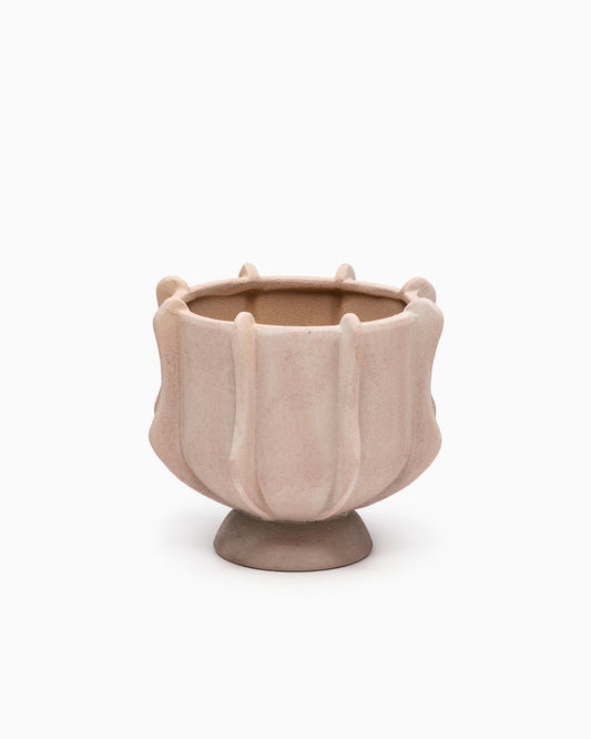 Claudia Compote