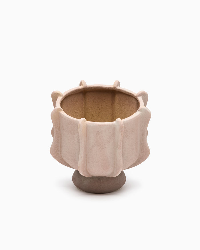 Claudia Compote