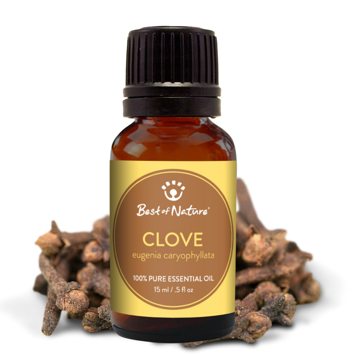 Bottle of clove essential oil with cloves on a white background