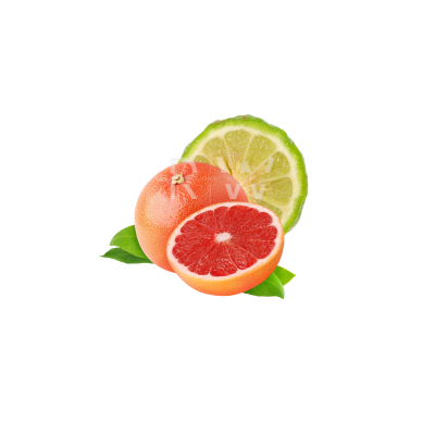 Compare to aroma GRAPEFRUIT AIR FRESHENER & BURNING OIL® (CLEARANCE)