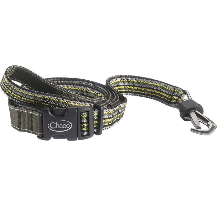 Dog Leash