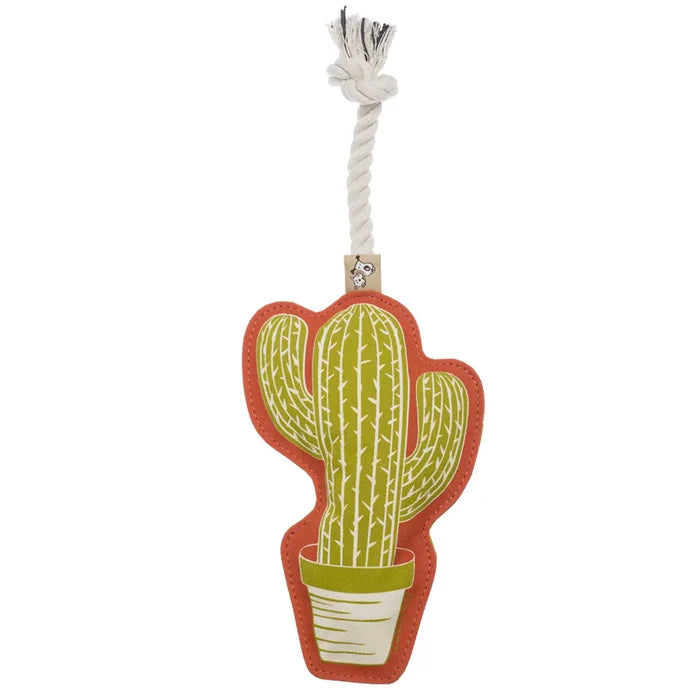 Dog Rope Toy