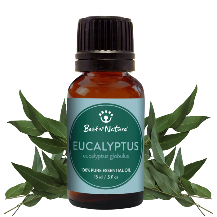Bottle of Best of Nature Eucalyptus essential oil with eucalyptus leaves on a white background