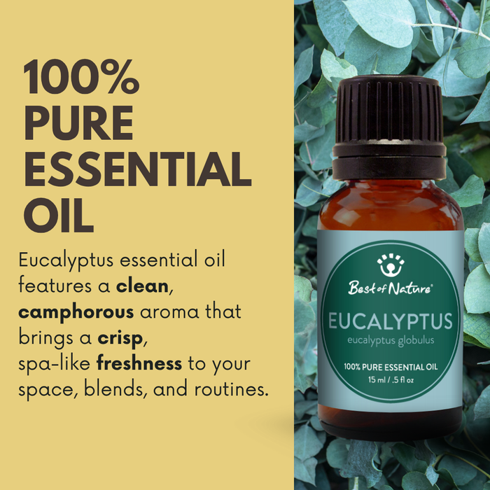 Eucalyptus essential oil features a clean, camphorous aroma that brings a crisp, spa-like freshness to your space, blends and routines