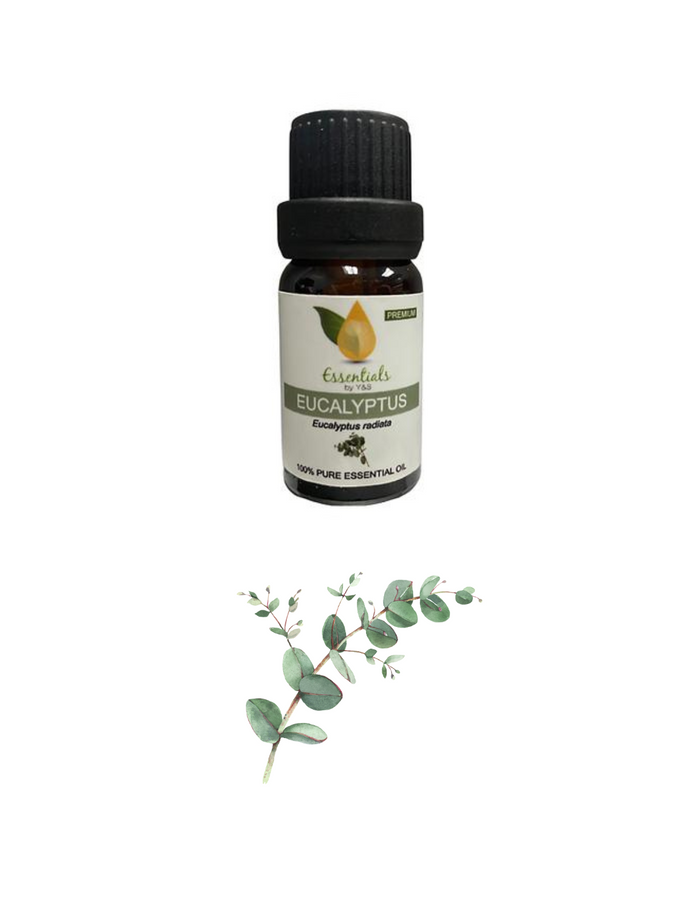 Eucalyptus Essential Oil - REGEN THE BODY
