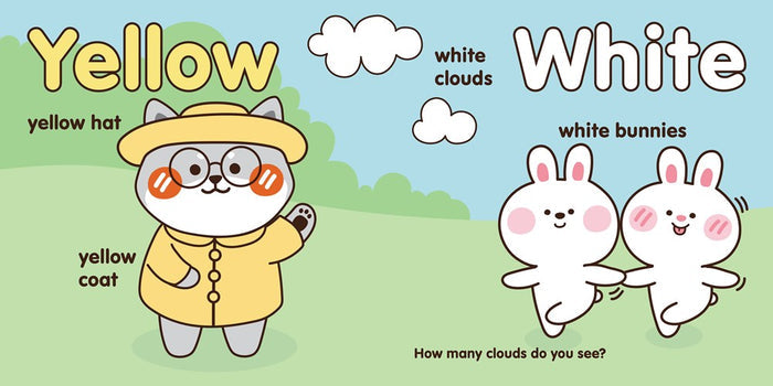 Everyday Colors Board Book