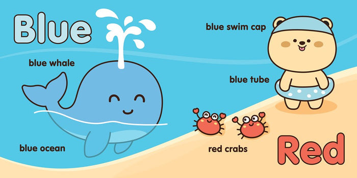 Everyday Colors Board Book