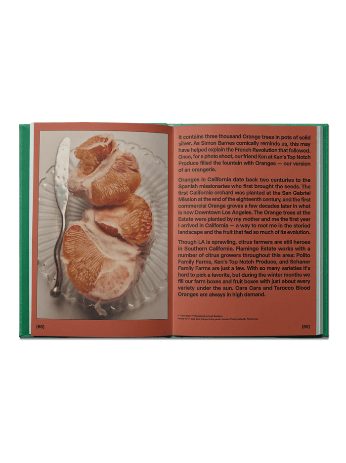 Flamingo Estate | The Guide to Becoming Alive Book