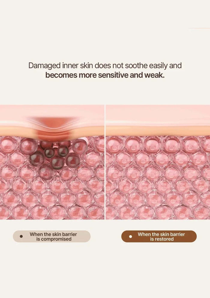 Illustration of damaged and restored skin barrier with text explaining skin sensitivity.
