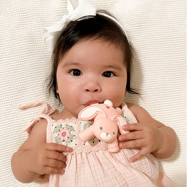 Itzy Ritzy Molar Teether - Bunny