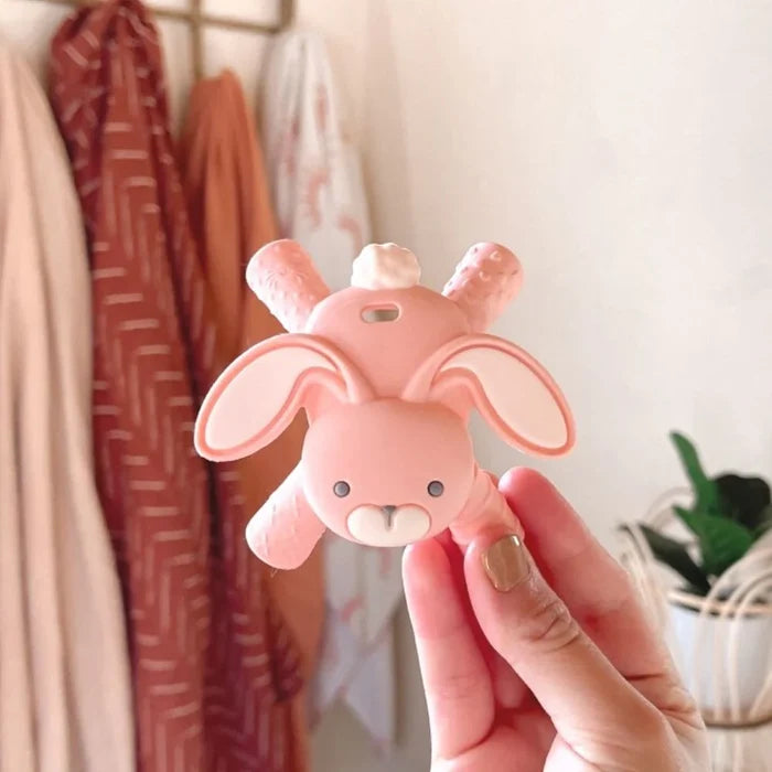Itzy Ritzy Molar Teether - Bunny