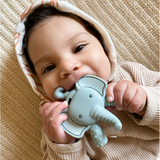 Itzy Ritzy Molar Teether - Elephant