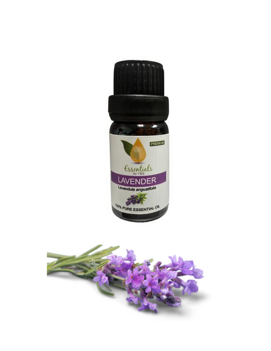 Lavender Essential Oil - REGEN THE BODY