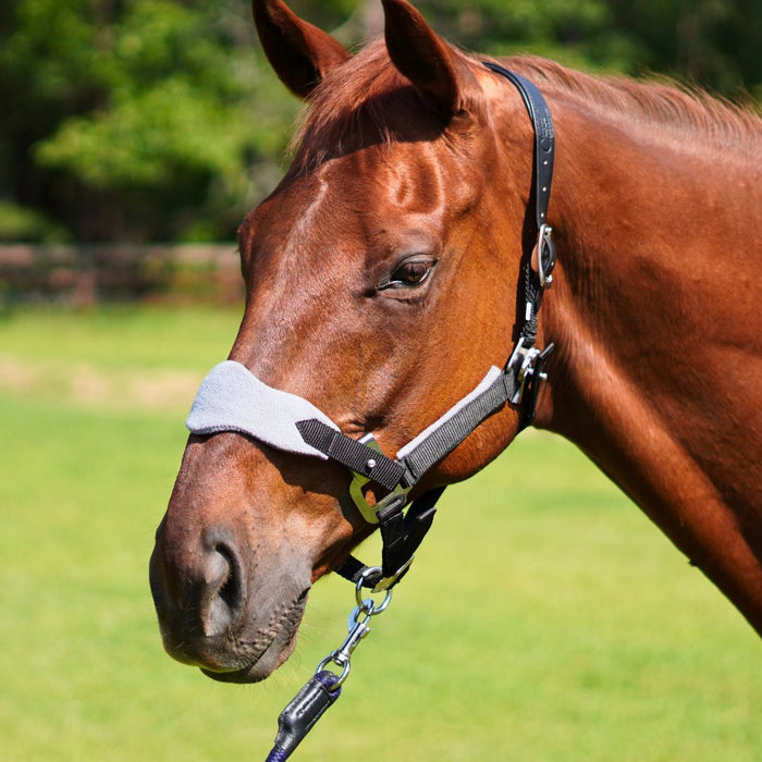 Magna Halter ™ in Black with Fleece Noseband and Leather Breakaway