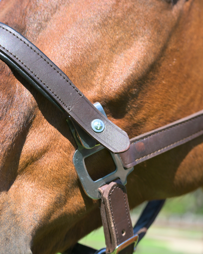 Magna Halter ™ in Black with Fleece Noseband and Leather Breakaway