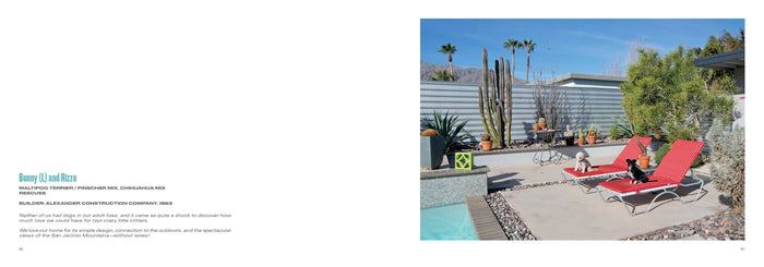 Palm Springs Modern Dogs at Home