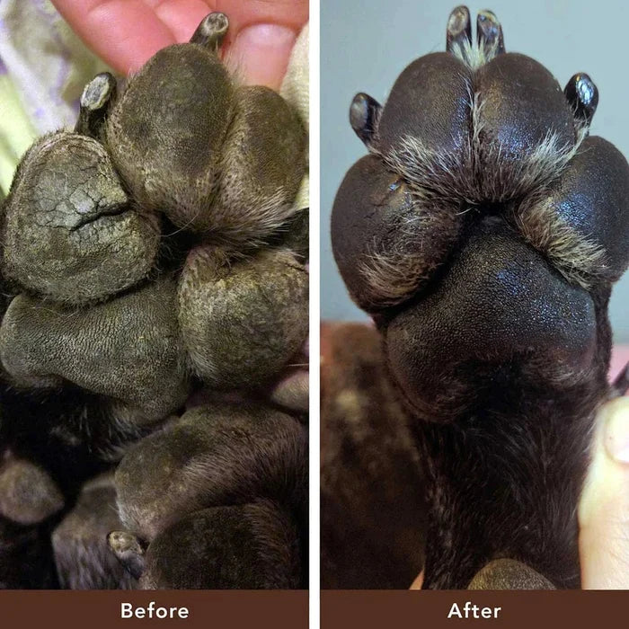 Paw Soother Dog Healing Balm
