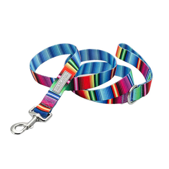 Pet Leash