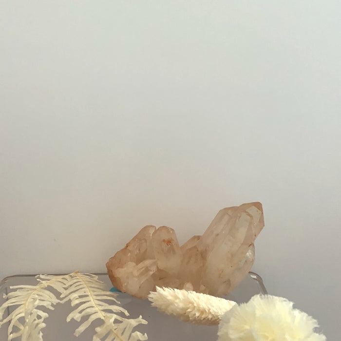 Pink Crystal Bunch