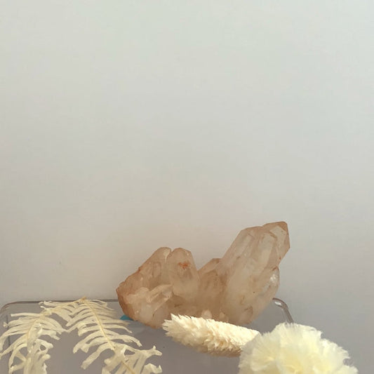 Pink Crystal Bunch