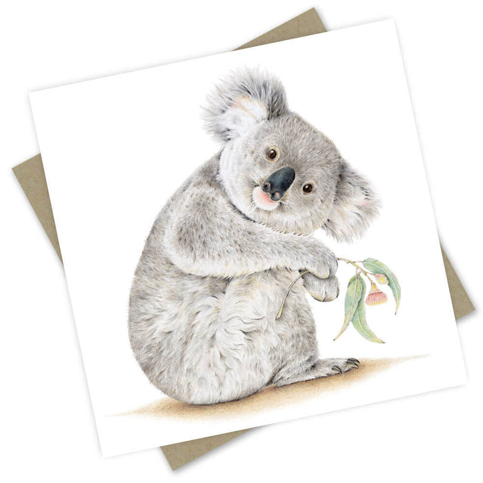 PopcornBlue Koala Barangaroo Card