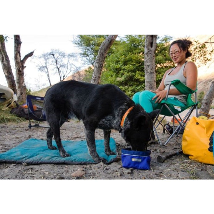 Quencher Collapsible Dog Bowl