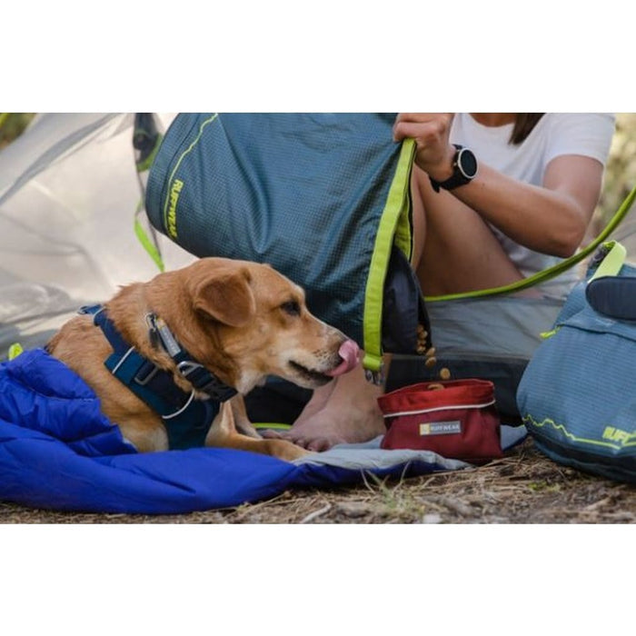 Quencher Collapsible Dog Bowl