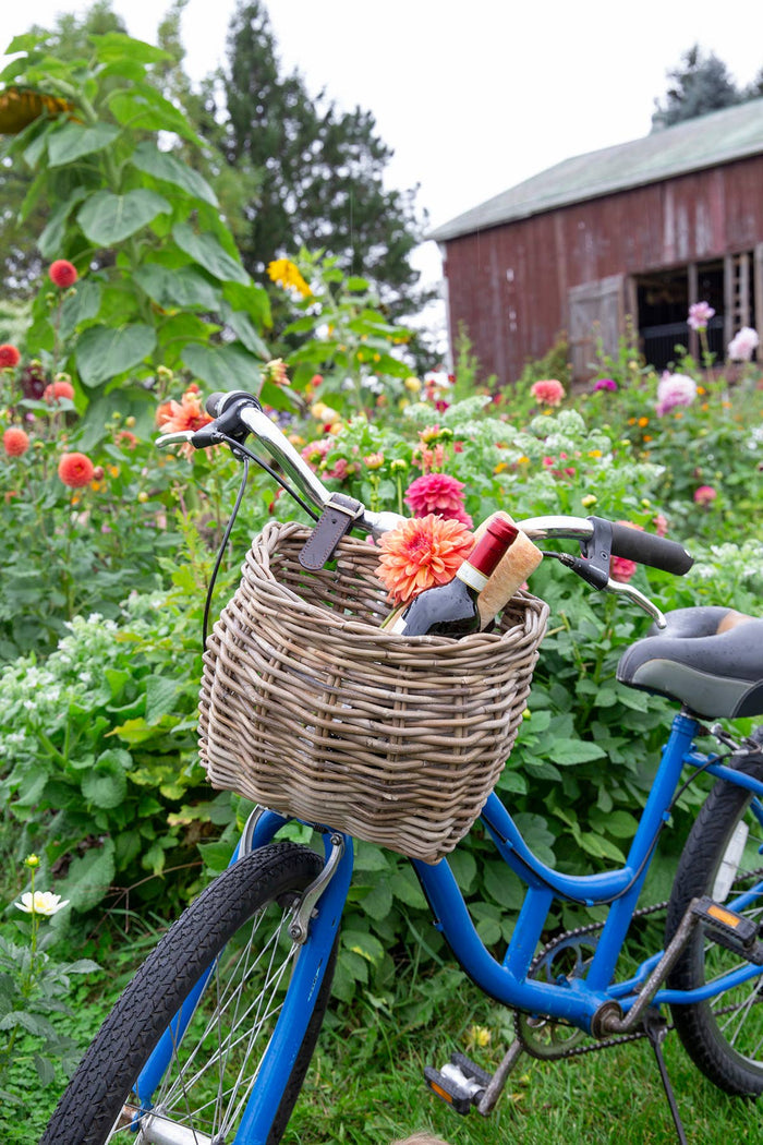 Rattan BICYCLE BASKET - Magnolia Lane co. Home + Garden + Gift