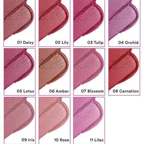 Satin Matte Lipstick (Kit)