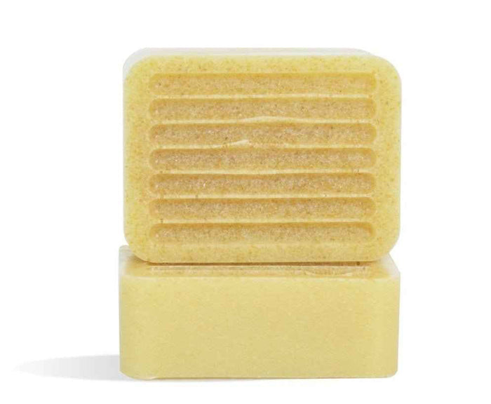 Silicone Soap Mold - Farmhouse Guest Silicone Mold - Crafter's Choice 1619
