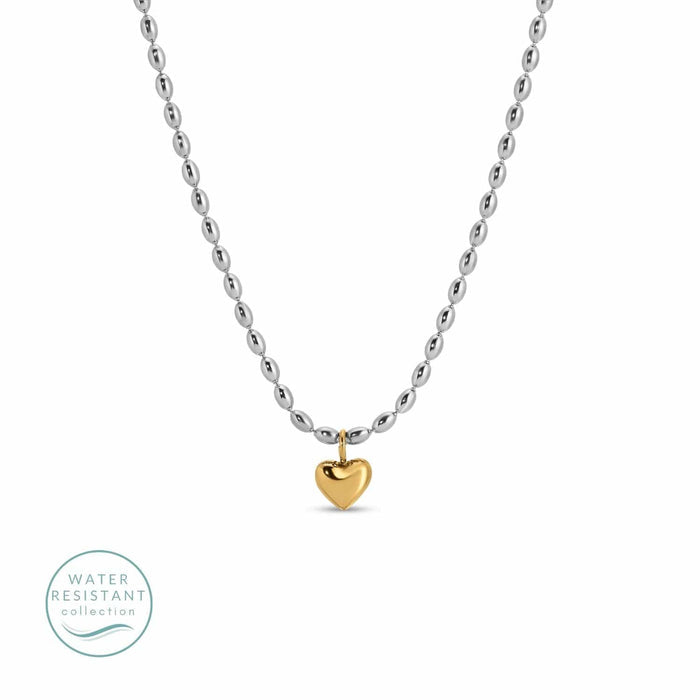 Splendid Iris Necklace - Petite Heart Necklace, Silver/Gold