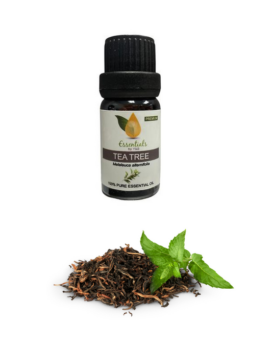 Tea Tree Essential Oil - REGEN THE BODY